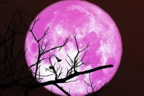 Pembe Dolunay Türkiye'de ne zaman ve saat kaçta görülecek? Pembe Dolunay ne zaman en net izlenir?