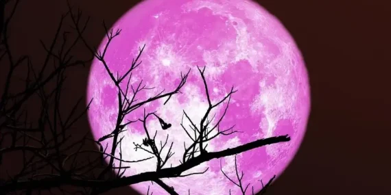 Pembe Dolunay Türkiye’de ne zaman ve saat kaçta görülecek? Pembe Dolunay ne zaman en net izlenir?