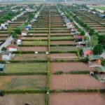 Hobi bahçeleri yasa teklifi son durum: Yıkım iptal mı oldu? Tarlaya yapılan bungalov ve bağ evleri yıkılacak mı?