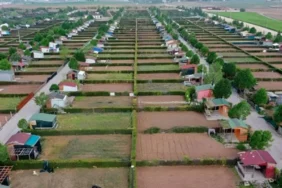 Hobi bahçeleri yasa teklifi son durum: Yıkım iptal mı oldu? Tarlaya yapılan bungalov ve bağ evleri yıkılacak mı?