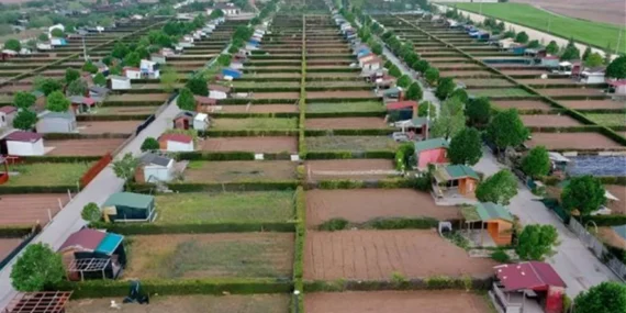 Hobi bahçeleri yasa teklifi son durum: Yıkım iptal mı oldu? Tarlaya yapılan bungalov ve bağ evleri yıkılacak mı?