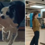 Bosch Anneler Günü reklamı nasıldı, hangi sözler tepki çekti? Reklam hakkında RTÜK inceleme başlattı