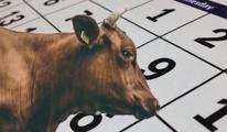 KURBAN TARİHİ YAKLAŞIYOR! Bayram ne zaman, ayın kaçında? Bayramda kaç gün tatil olacak, tatil 9 gün oldu mu?