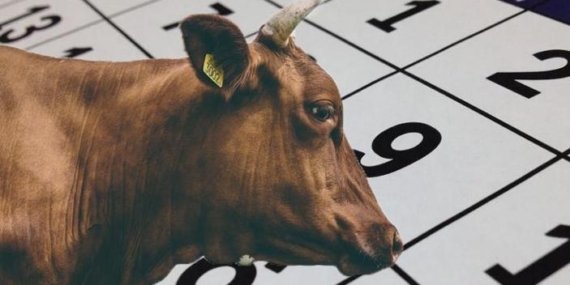 BAYRAMI TATİLİ 9 GÜN MÜ, KAÇ GÜN? Bayram tatili ne zaman başlıyor, ne zaman bitiyor? 2026 Kurban Bayramı tarihi