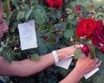 HIDIRELLEZ DUASI | Gül ağacına dilek asarken Hıdırellez duası kaç kere okunur? Hıdırellez dilek duası nasıl edilir, ne zaman okunmalı?