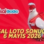 HAFTANIN İKİNCİ SAYISAL LOTO ÇEKİLİŞİ: Sayısal Loto sonuçları açıklandı mı? 6 Mayıs 2026 Çılgın sayısal Loto sonuçları nasıl sorgulanır?