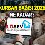 İŞTE HİSSE BEDELİ 📍 Online Lösev Kurban bağışı nasıl yapılır? 2026 Lösev Kurban Bağışı ne kadar?