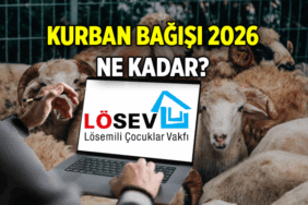 İŞTE HİSSE BEDELİ 📍 Online Lösev Kurban bağışı nasıl yapılır? 2026 Lösev Kurban Bağışı ne kadar?