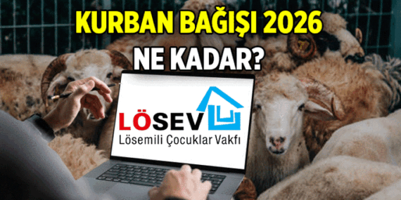 İŞTE HİSSE BEDELİ 📍 Online Lösev Kurban bağışı nasıl yapılır? 2026 Lösev Kurban Bağışı ne kadar?