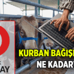 Bu sene Kızılay Kurban Bağışı hisse bedeli ne kadar? 2026 Türk Kızılayı'na Kurban Bağışı nasıl yapılır?