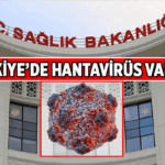 Hantavirüs Türkiye'de var mı? Türkiye'de Hantavirüs vakası teşhisi konuldu mu?