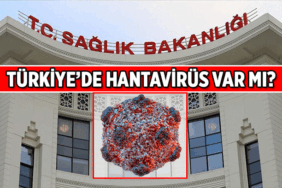 Hantavirüs Türkiye'de var mı? Türkiye'de Hantavirüs vakası teşhisi konuldu mu?