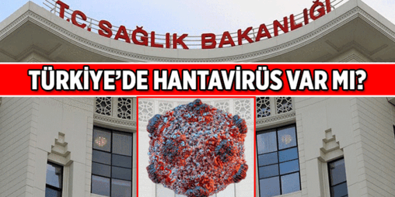 Hantavirüs Türkiye’de var mı? Türkiye’de Hantavirüs vakası teşhisi konuldu mu?
