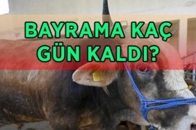 KURBAN BAYRAMI BAŞLANGIÇ VE BİTİŞ TARİHİ 2026: Bayrama kaç gün kaldı? 2026 Kurban Bayramı ne zaman, hangi gün?