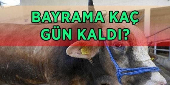 KURBAN BAYRAMI BAŞLANGIÇ VE BİTİŞ TARİHİ 2026: Bayrama kaç gün kaldı? 2026 Kurban Bayramı ne zaman, hangi gün?