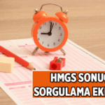 HMGS sonuç sorgulama ekranı: 2026/1 Adalet Bakanlığı Hukuk Mesleklerine Giriş Sınavı (HMGS) Sonuçları