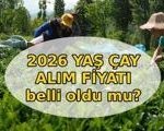 YAŞ ÇAY ALIM FİYATI 2026 || Yaş çay alım fiyatı açıklandı mı, ne zaman açıklanacak? Yaş çay kilogram alım fiyatı belli oldu mu?