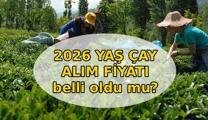 YAŞ ÇAY ALIM FİYATI 2026 || Yaş çay alım fiyatı açıklandı mı, ne zaman açıklanacak? Yaş çay kilogram alım fiyatı belli oldu mu?
