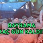 BAYRAMA KAÇ GÜN KALDI? 2026 Kurban Bayramı ne zaman, hangi tarihlerde? Bayram tatili uzatıldı mı, kaç gün?