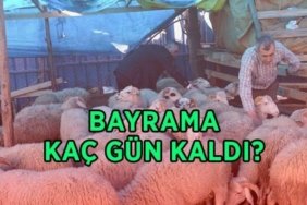 BAYRAMA KAÇ GÜN KALDI? 2026 Kurban Bayramı ne zaman, hangi tarihlerde? Bayram tatili uzatıldı mı, kaç gün?