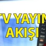 YAYIN AKIŞI 15 MAYIS 2026: Bu akşam hangi diziler var? Kanal D, Show TV, TRT1, ATV, Star TV, Now TV, TV8 yayın akışı listesi