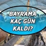 KURBAN BAYRAMI KAÇ GÜN KALDI? Kurban Bayramı ayın kaçında başlayacak? Bayram tatili başlangıç ve bitiş tarihleri...