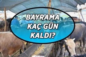 KURBAN BAYRAMI KAÇ GÜN KALDI? Kurban Bayramı ayın kaçında başlayacak? Bayram tatili başlangıç ve bitiş tarihleri...