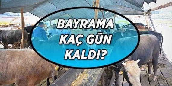 KURBAN BAYRAMI KAÇ GÜN KALDI? Kurban Bayramı ayın kaçında başlayacak? Bayram tatili başlangıç ve bitiş tarihleri…