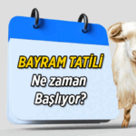 Bayramı tatili ne zaman başlıyor? 2026 Kurban Bayramı tatili ne zaman başlıyor, ne zaman bitiyor, kimlere 9 gün tatil oldu?