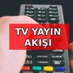 YAYIN AKIŞI LİSTESİ BUGÜN: Bu akşam hangi diziler? 18 Mayıs Pazartesi Kanal D, TRT 1, Star, ATV, TRT, TV8, Show, NOW TV yayın akışı