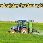 2026 Buğday fiyatları: Arpa ve buğday fiyatları açıklandı mı, ne zaman açıklanacak? Hububat, arpa ve buğday alım fiyatı