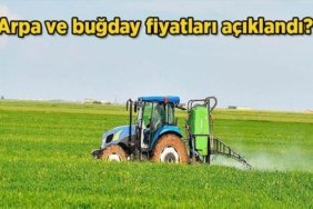 2026 Buğday fiyatları: Arpa ve buğday fiyatları açıklandı mı, ne zaman açıklanacak? Hububat, arpa ve buğday alım fiyatı