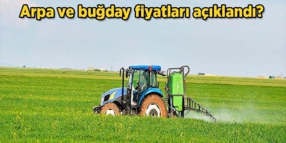 2026 Buğday fiyatları: Arpa ve buğday fiyatları açıklandı mı, ne zaman açıklanacak? Hububat, arpa ve buğday alım fiyatı