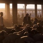 Kurban vekaleti nasıl verilir? Kurban vekaleti ne zaman, kimlere verilebilir, şartları neler?