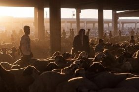 Kurban vekaleti nasıl verilir? Kurban vekaleti ne zaman, kimlere verilebilir, şartları neler?