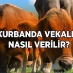 Kurban vekaleti nasıl verilir, vekalet verilirken ne denir? Kurban vekaleti ne zaman, kimlere verilir?