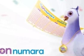 ON NUMARA SONUÇLARI BUGÜNKÜ ÇEKİLİŞ NUMARALARI SORGULAMA: 29 Mayıs 2026 On Numara çekiliş sonuçları millipiyangoonline ekranı