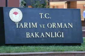 Tarım ve Orman Bakanlığı DKMP personel alımı 2026: Başvuru tarihi, şartlar ve kadro dağılımı belli oldu