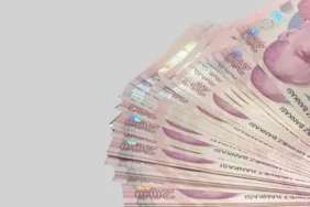 Analık Ödeneği Doğum Parası Ne Kadar Oldu? Başvuru Yapmadan Emzirme Ödeneği Süt Parası Alma Yöntemi!