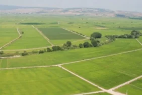 TOKİ Çorum, Burdur, Afyonkarahisar, Kırşehir ve Niğde Arsa Kura Sonuçları Açıklandı mı? İşte Canlı Yayın İsim Listesi!