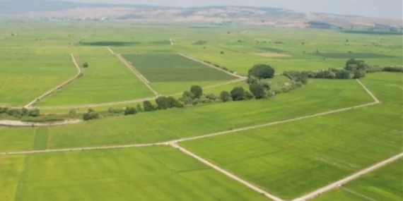 TOKİ Çorum, Burdur, Afyonkarahisar, Kırşehir ve Niğde Arsa Kura Sonuçları Açıklandı mı? İşte Canlı Yayın İsim Listesi!