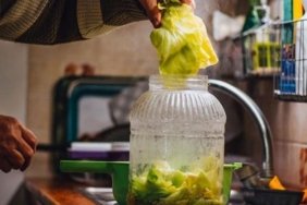 Kütür kütür turşunun sırrı buymuş meğer! Erimesini önlüyor, aylarca çıtır çıtır kalıyor