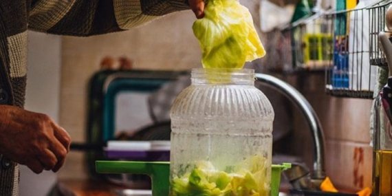 Kütür kütür turşunun sırrı buymuş meğer! Erimesini önlüyor, aylarca çıtır çıtır kalıyor