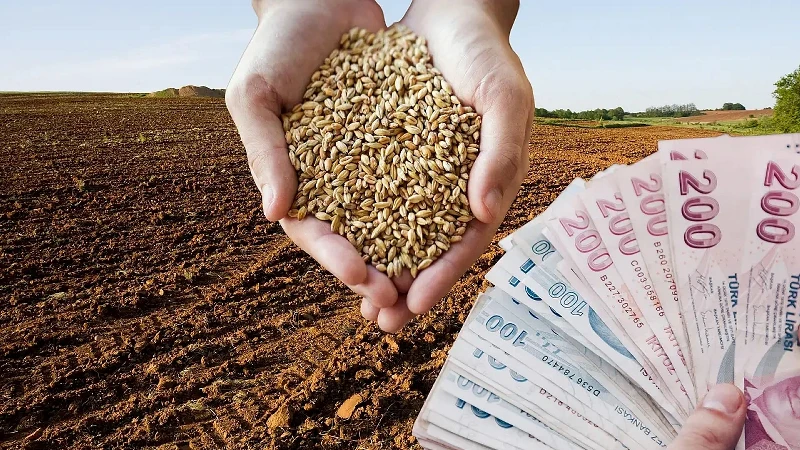 TMO hububat ödemeleri hesaplara yattı mı? Bakan Yumaklı açıkladı
