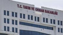TARIM VE ORMAN BAKANLIĞI PERSONEL ALIMI BAŞVURUSU 2026: Tarım ve Orman Bakanlığı 1.874 personel alımı başvuruları başladı mı, ne zaman, başvuru şartları neler? İşte kontenjan ve branş dağılımı