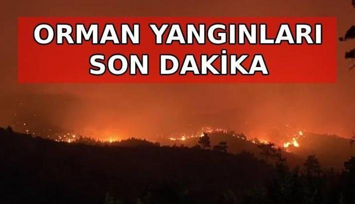 ORMAN YANGINLARI SON DAKİKA GELİŞMELERİ📍 Orman yangını hangi illerde devam ediyor? Hangi illerde söndürüldü? Alanya, Altınoluk, Ayvacık, Fethiye yangın son dakika gelişmeleri